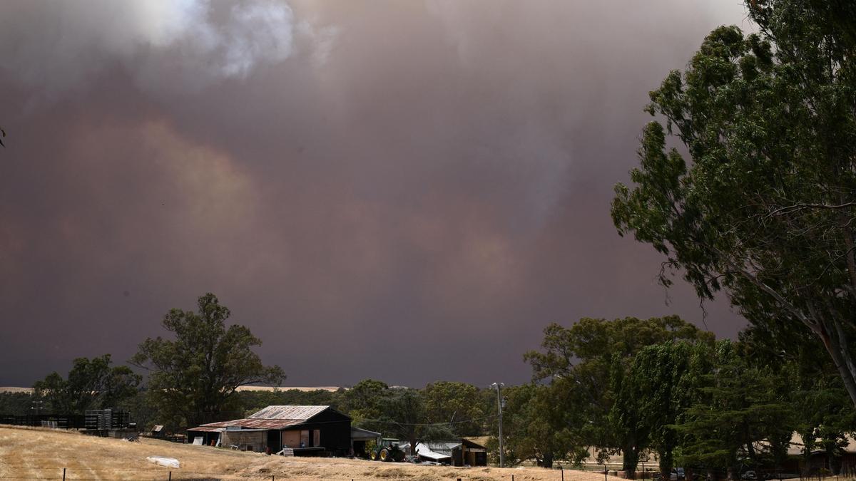 Australia declares state of disaster as bushfires rage