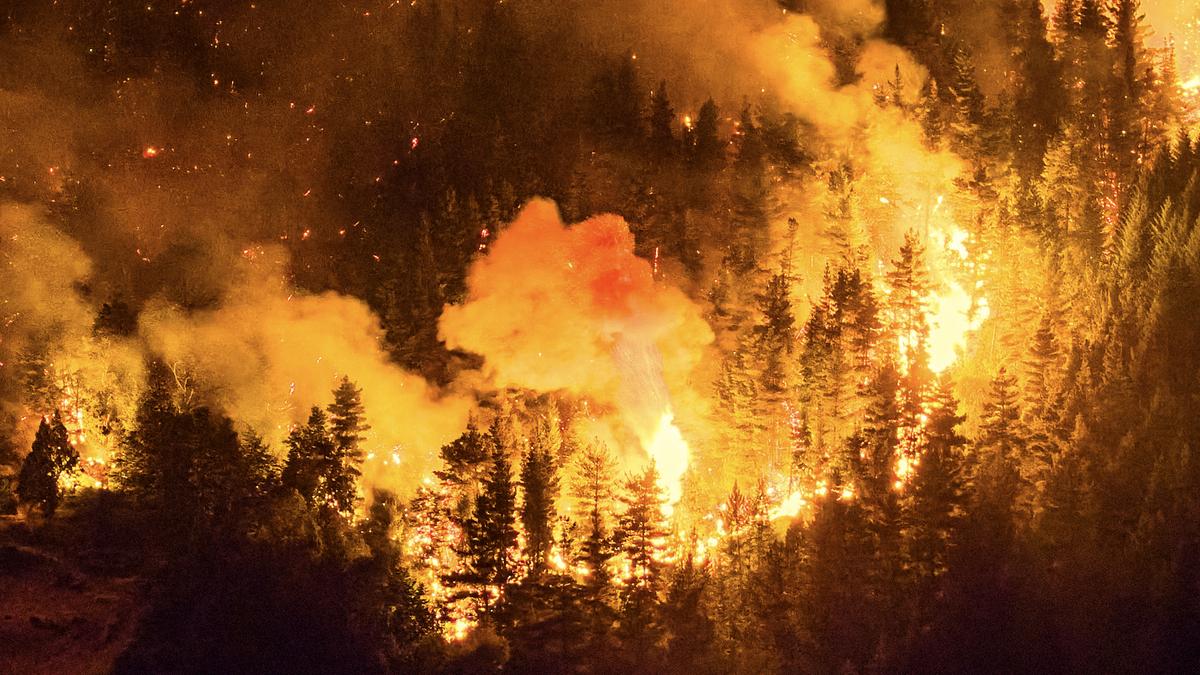 Wildfires in south Argentina rip through nearly 12,000 hectares of forest, threatening communities
