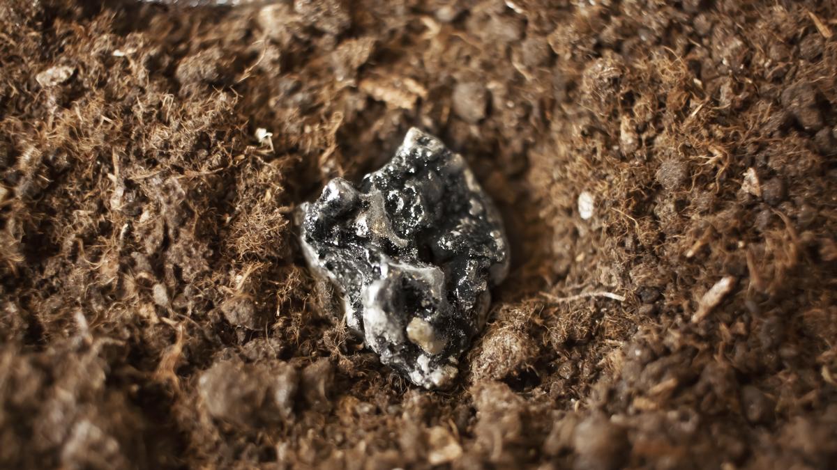 U.S. to push for quicker action in reducing reliance on China for rare earths