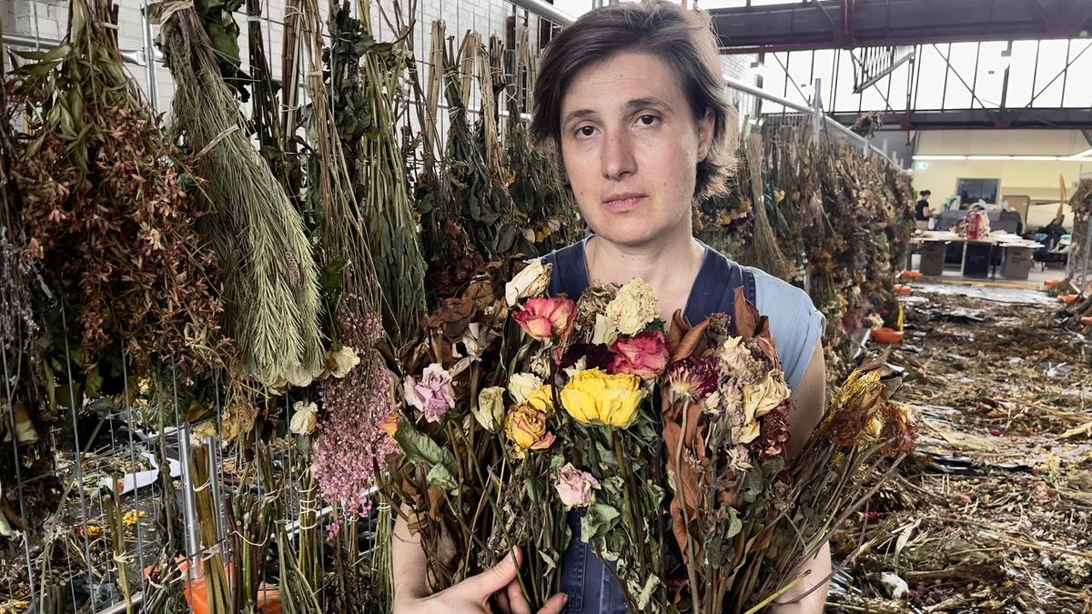 Bondi Beach attack | From bloodshed to blooms: inside the making of a living memorial