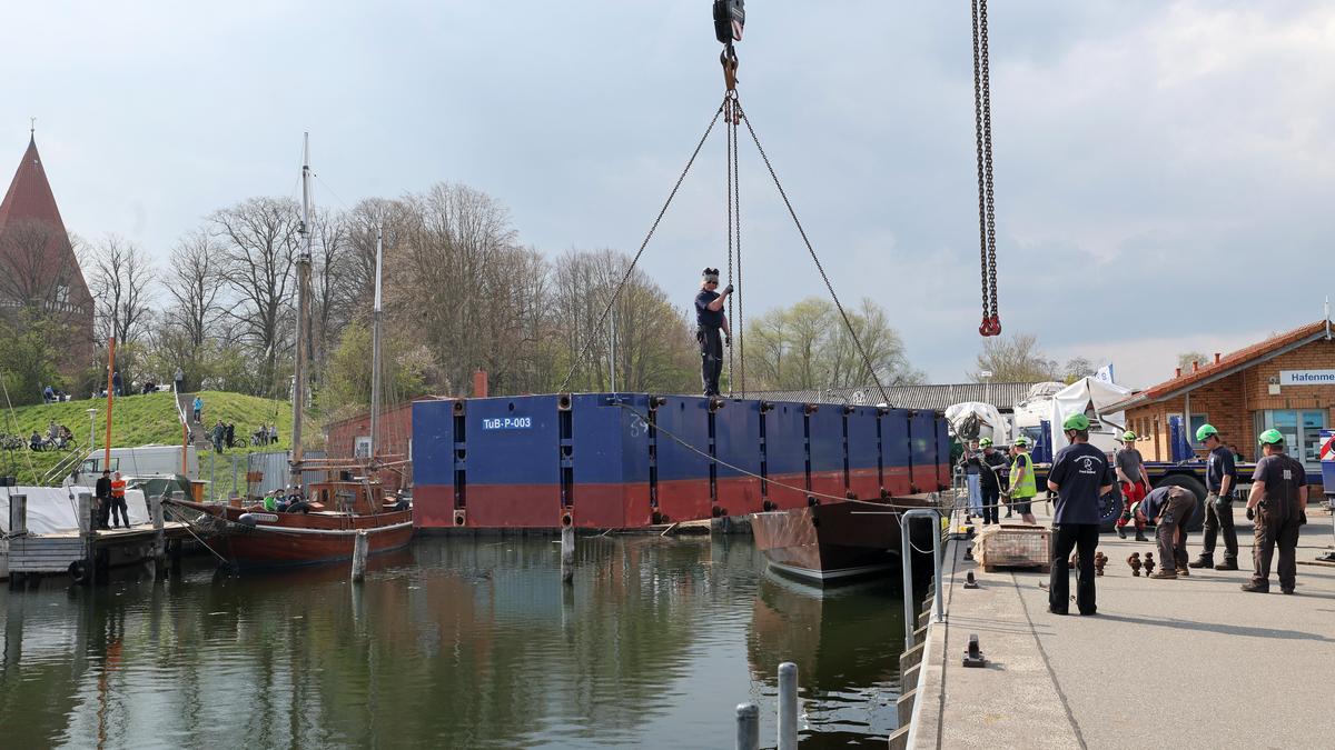 German rescuers plan to use air cushions to save Timmy stranded whale